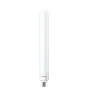 Philips TrueForce LED SOX public B22 36W 5000lm - 840 Blanc Froid | Équivalent 55W