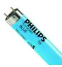 Philips MASTER TL-D 58W - Bleu | 150cm