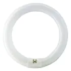 Osram T9 Lumilux Circline 32W - 840 Blanc Froid | 30cm