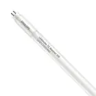 Philips Tube LED T5 MASTER (Direct 230V) High Output 26W 3900lm - 840 Blanc Froid | 115cm - Équivalent 54W