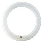 Osram T9 Lumilux Circline 32W - 840 Koel Wit | 30cm